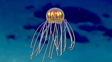 Неопознанный летающий объект