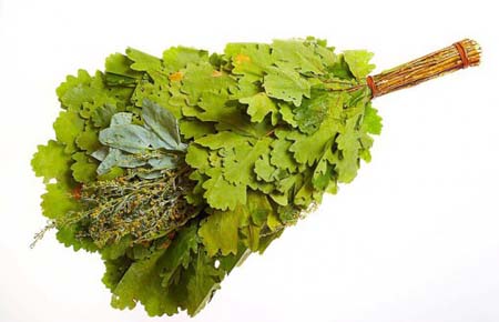 Дубовый веник